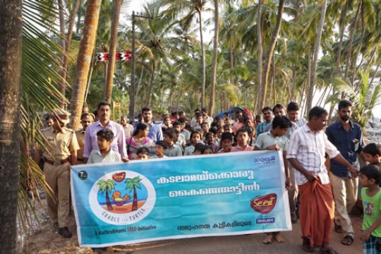 കൊളാവിയുടെ തൊട്ടിലില്‍നിന്ന്  ആമക്കുഞ്ഞുങ്ങള്‍ കടലിലേക്ക്